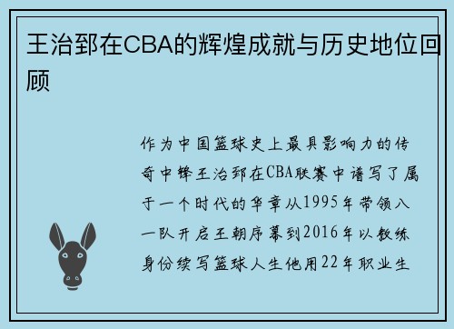 王治郅在CBA的辉煌成就与历史地位回顾